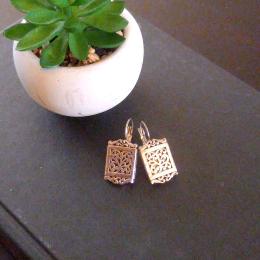 Beautiful silver earrings